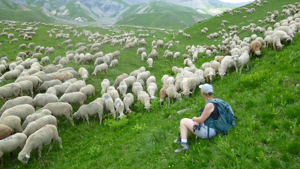 La Petite Etoile D'Hotes En Mercantour Saint-Dalmas-le-Selvage Zewnętrze zdjęcie