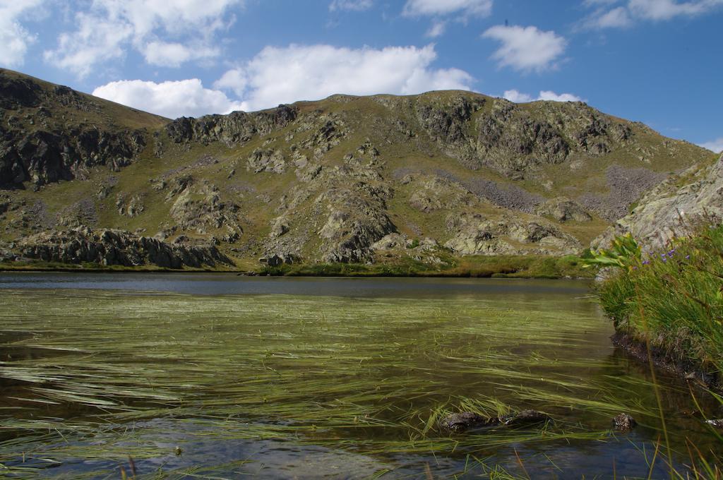La Petite Etoile D'Hotes En Mercantour Saint-Dalmas-le-Selvage Zewnętrze zdjęcie